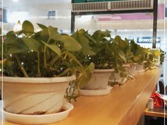 -拿渡·水煮鱼麻辣香锅(王府井奥莱·香江小镇店)