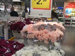 -宜家家居(哈尔滨商场店)