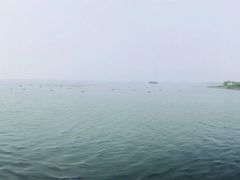-雨花胜境