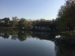 -鹅湖玫瑰文化园