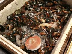 -芭提雅Amporn Seafood自助餐厅