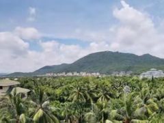 -三亚亚龙湾天域度假酒店