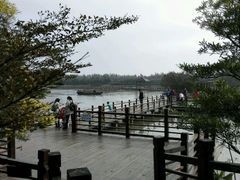 -大湾区中央湿地公园