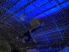 -上海外滩星空艺术馆