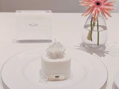 -BLACKSWAN黑天鹅(新希望店)