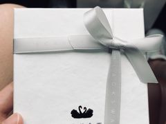 -BLACKSWAN黑天鹅(环球店)