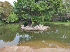 -深圳野生动物园
