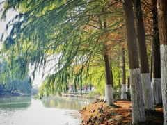 -石湖景区