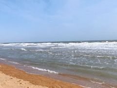 -渡海小渔村.老辈日照菜