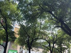 -小柴米·传统江西菜(八一广场店)