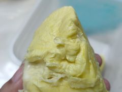 -果叔叁拾加(锦绣生态园店)