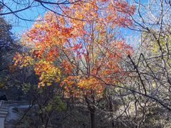 -北京西山国家森林公园