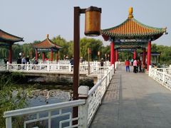 -长春市南湖公园