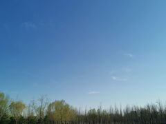 -东郊湿地公园