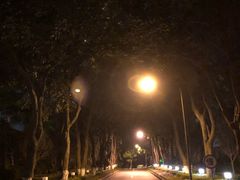 -厦门悦华酒店