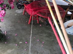 -同銮特种养殖场·龙虾垂钓