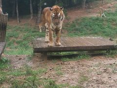 -大连森林动物园