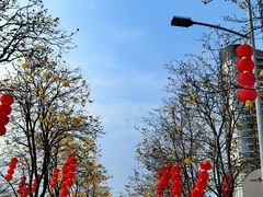-洲头咀公园