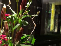 -曲水兰亭(北京四惠店)