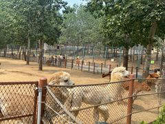 -大连森林动物园