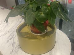 -康师傅私房牛肉面(申虹店)