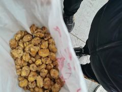 -崩豆张(古文化街店)