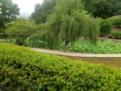 -韶山毛泽东同志故居