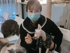 -团子家猫咪猫咖馆·柯基·柯尔鸭