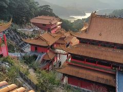 -东莞市大岭山森林公园