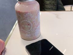 -野萃山·潮汕厚果汁(十亩地店)