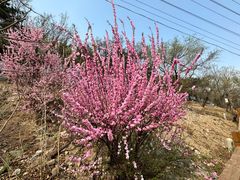 -长辛店二七公园