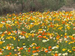 -名花谷生态庄园