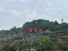 -枇杷园食为鲜火锅(南山店)