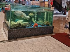 -聚福宝合苑食府(南头镇店)