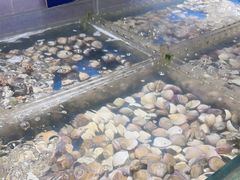 -亚马逊海鲜自助(梅溪湖步步高店)