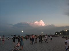 -贡湖湾湿地公园