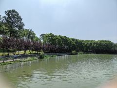 -美兰湖景区