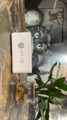 -MT·ID 烫发.染发.接发SALON