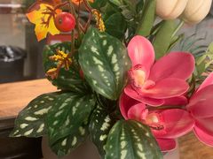 -苹果树下艺术餐厅(通州店)