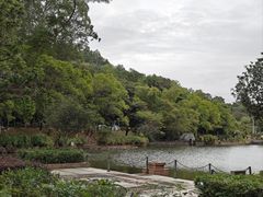 -三水森林公园