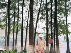 -重庆彩云湖湿地公园