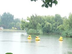 -朝阳公园游乐园