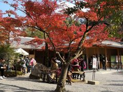 -豆政(金閣寺境内売店)