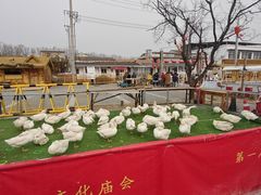 -辛庄国际文化艺术区