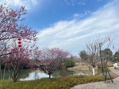 -良渚古城遗址公园