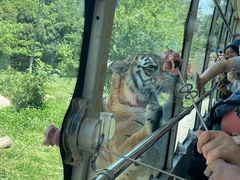 -西安秦岭野生动物园