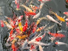 -镇江中国醋文化博物馆