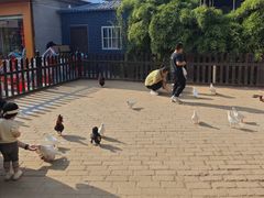 -茯茶镇