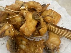 -源港渔村-中山脆肉鲩(博罗店)