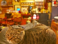 -云端咖啡私房店(河松街店)